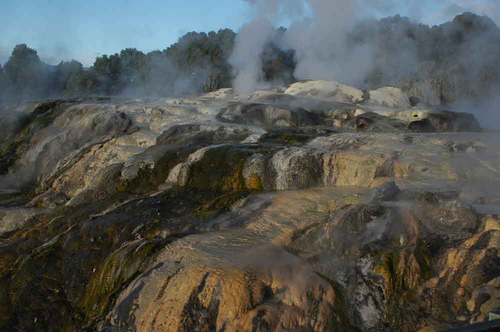 59 - Nueva Zelanda - Rotorua, Te Puia, geiser plumas del principe de Gales